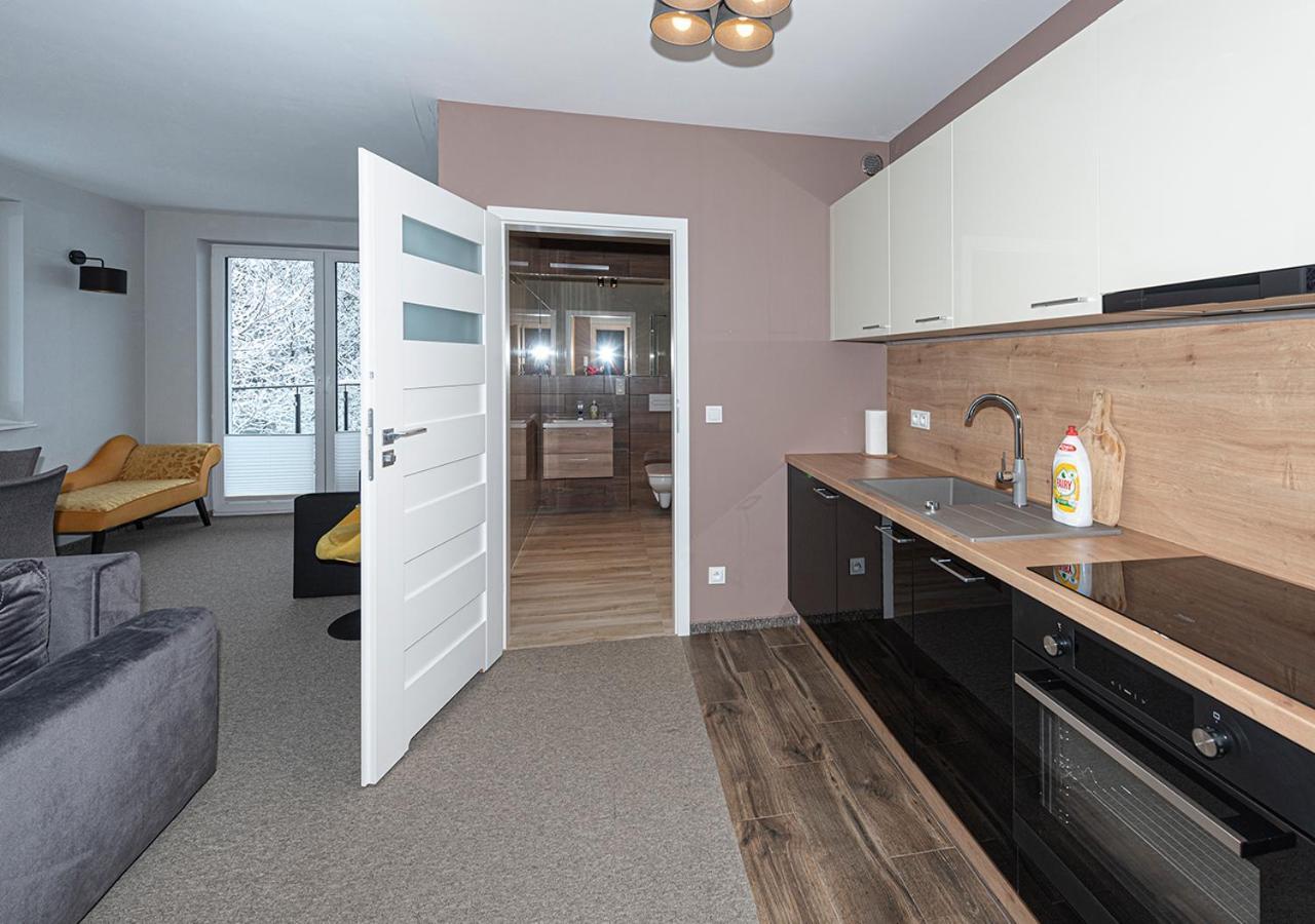 Apartament Piano Świeradów-Zdrój 外观 照片